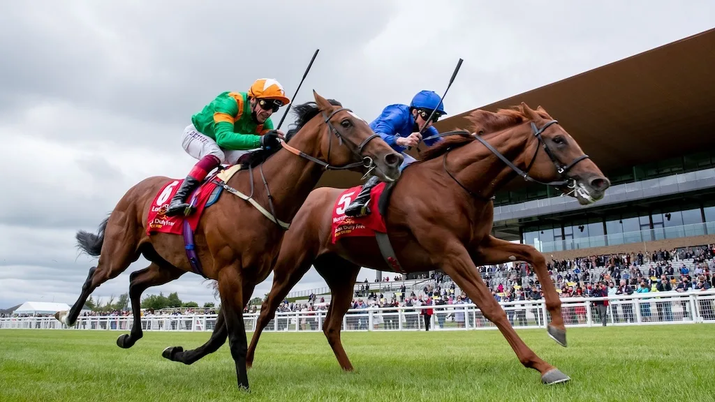 Racehorses approaching the finish