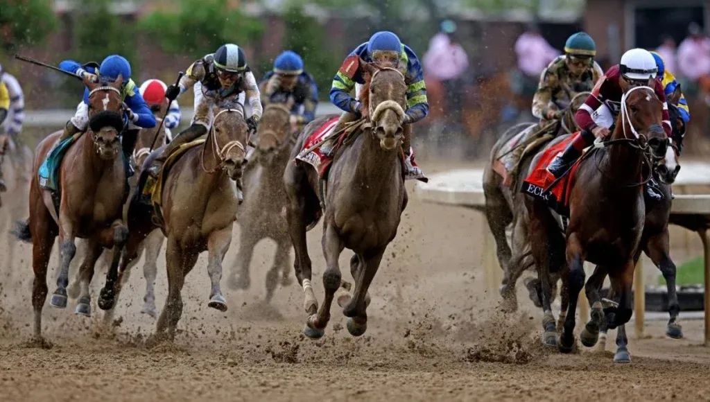 Horses on a race track