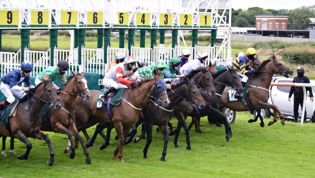 Horses leaving the starting gate